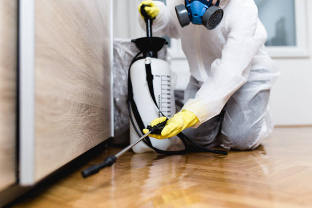 Best Affordable Pest Control Services  in Smiths Station, AL