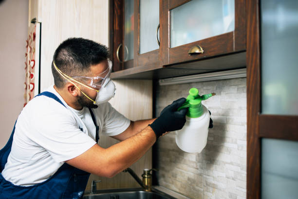Best Wasp Removal Services  in Smiths Station, AL