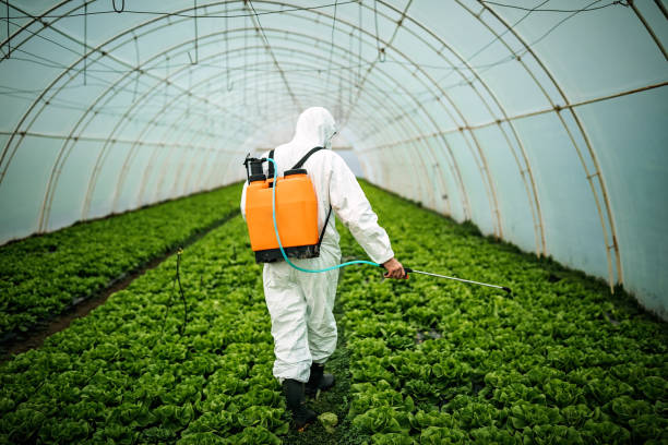 Best Affordable Pest Control Services  in Smiths Station, AL