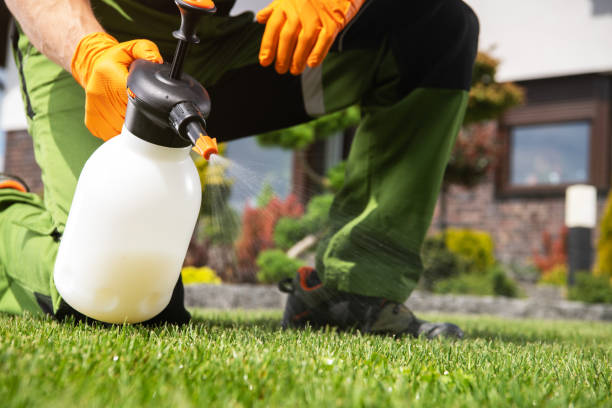 Trusted Smiths Station, AL Pest Control Experts