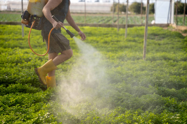 Best Pest Control Near Me  in Smiths Station, AL