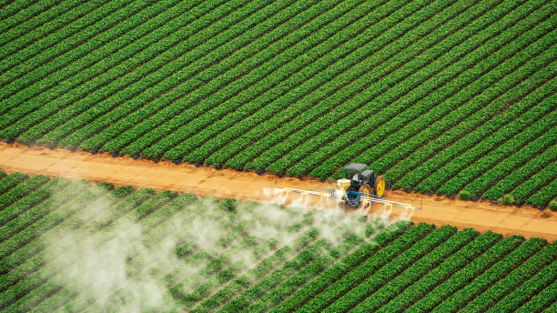 Best Pest Prevention Services  in Smiths Station, AL