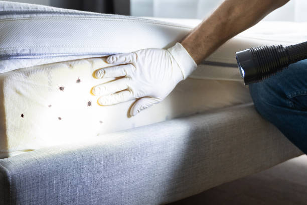 Best Wasp Removal Services  in Smiths Station, AL