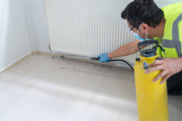 Pest Control Cost in Smiths Station, AL